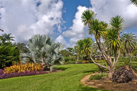 O Jardim Botânico de Fairchild: Uma Sinfonia Tropical de Cores e Fragrâncias na Flórida!