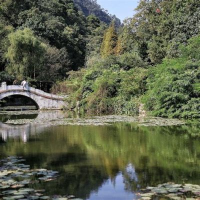 A Floresta de Pedra de Qianling: Uma Maravilha Natural Escondida em Guiyang!