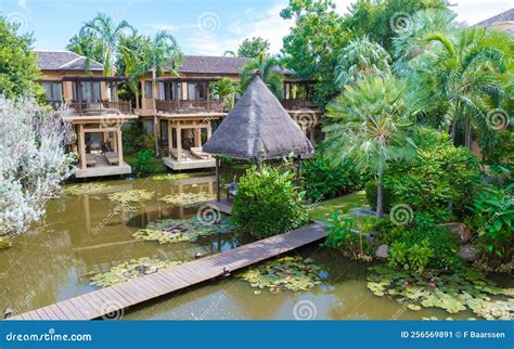 O Jardim Botânico de Hua Hin: Um Refúgio Tropical com Flores Exóticas e Caminhos Encantadores!