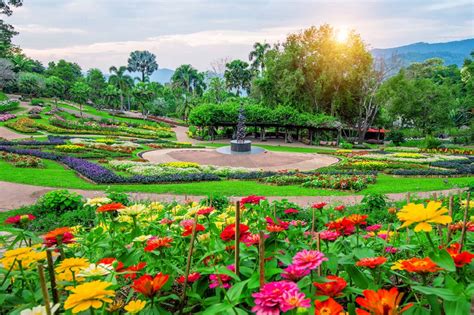 O Jardim Botânico de Chiang Rai: Um Refúgio Tropical e um Portal para a Cultura Local!