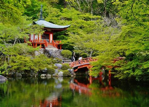 O Santuário Daigo-ji: Uma Odisseia Histórica Através de Jardins Encantadores!