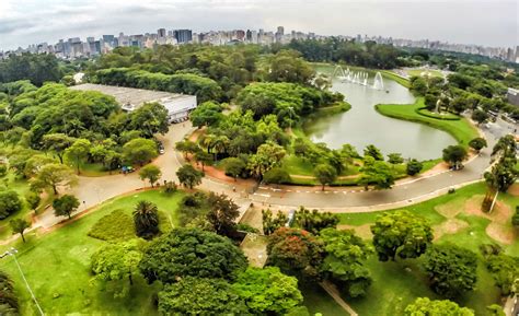 Parque Ecológico do Ibirapuera: Um Oásis Verde no Coração pulsante de São Paulo!