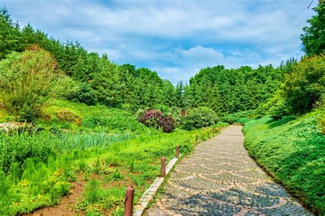  Parque da Floresta de Xing'an: Desfrute do verde exuberante e mistérios naturais!